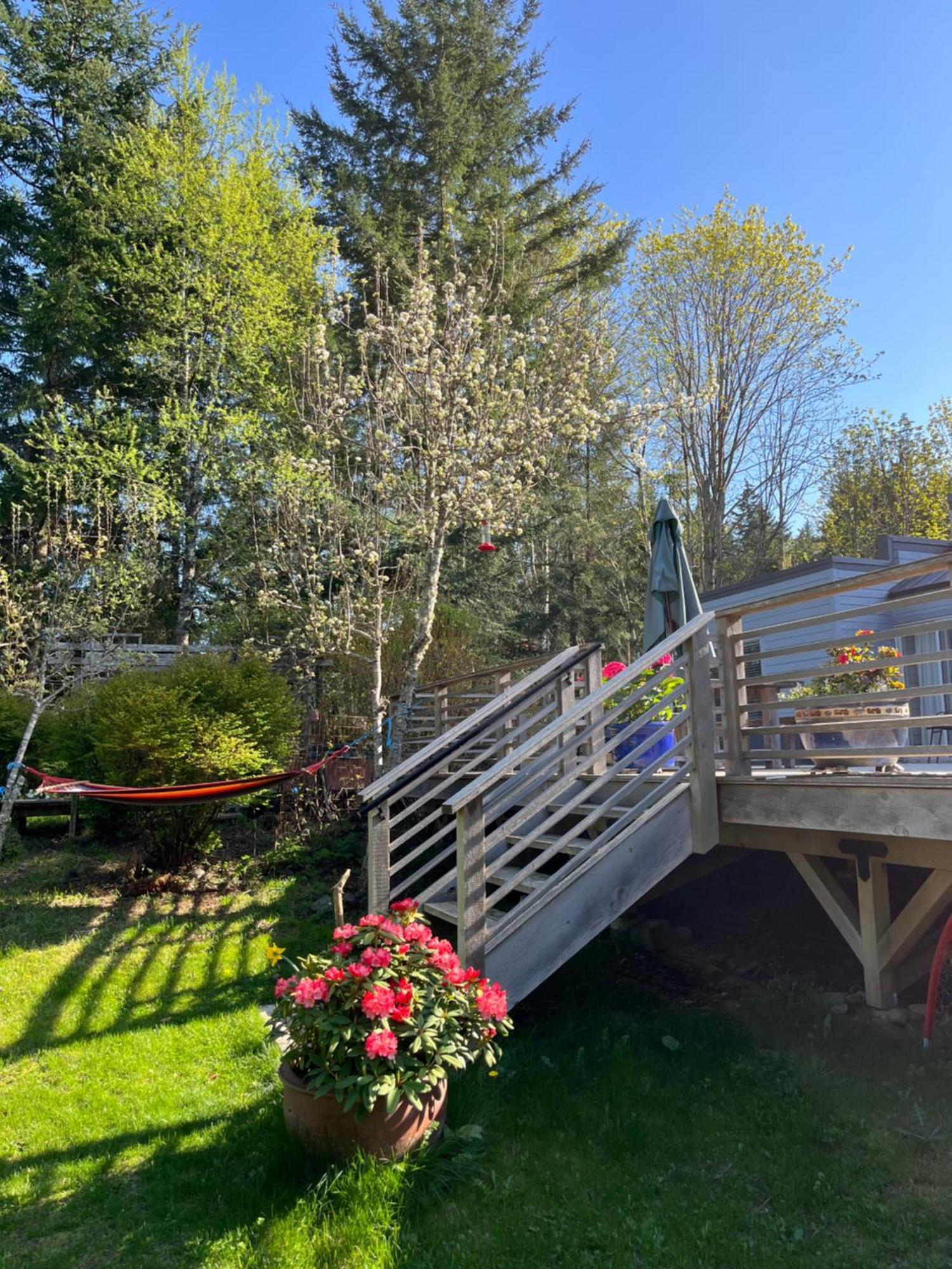 Forest By The Sea Rentals Merville Exterior photo
