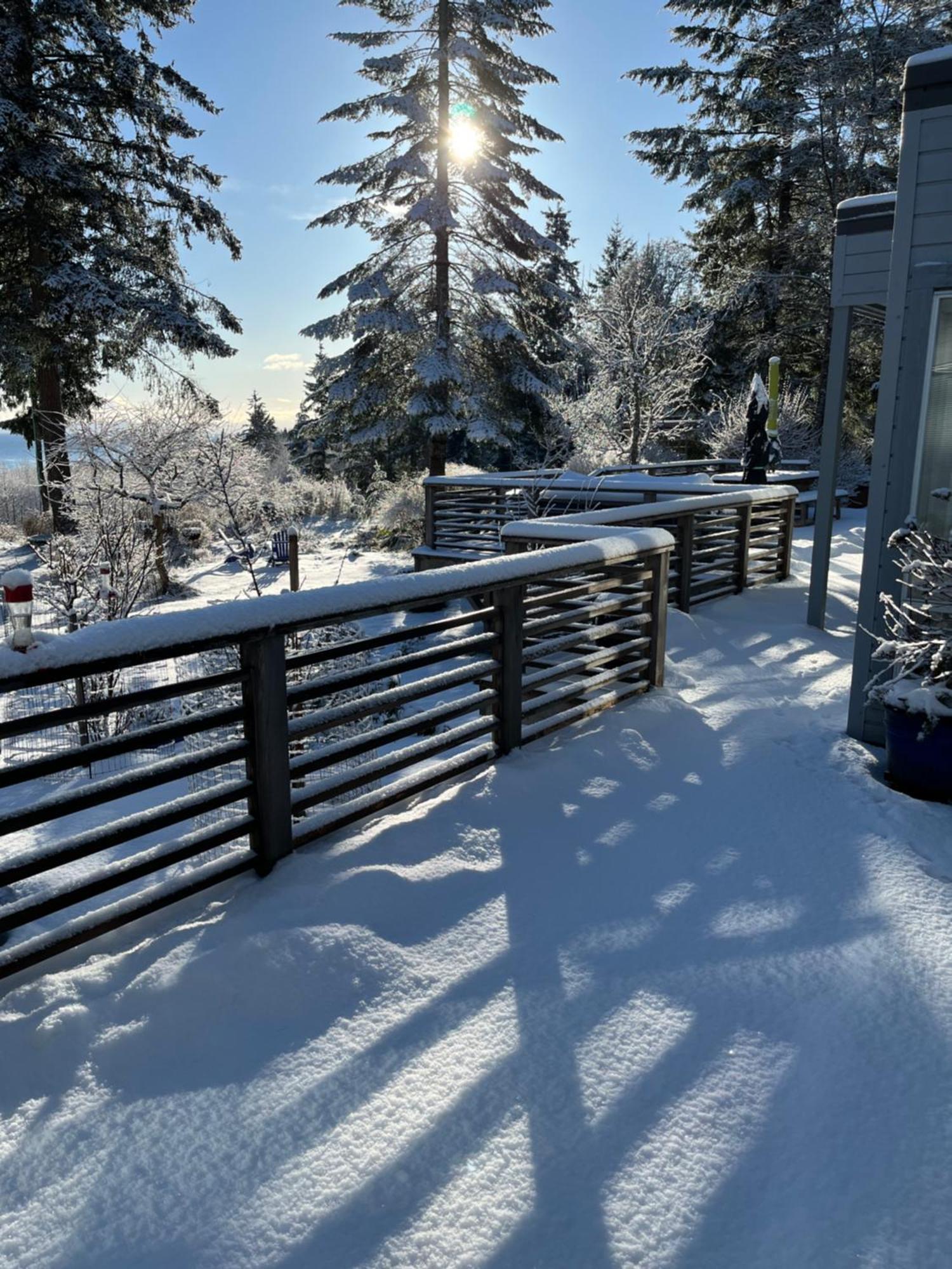 Forest By The Sea Rentals Merville Exterior photo